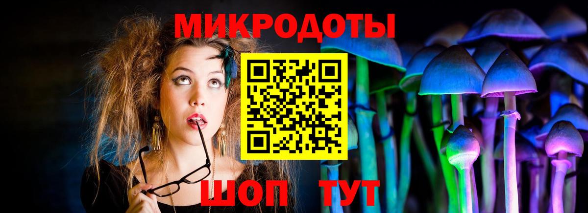 Галлюциногенные грибы Cubensis Вязьма